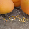 Boucle d'oreille puce en argent plaqué or 18 carats avec zircones colorées serties